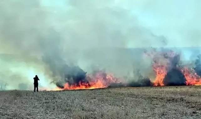 Edirne’de merada başlayan yangında 10 bin dönüm tarım alanı zarar gördü