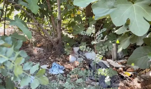 Esenyurt'ta ağaçlık alanda erkek cesedi bulundu