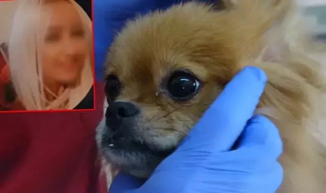 Eski erkek arkadaş şikayet etti, evde köpeklere işkence ortaya çıktı