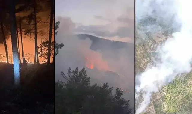 Evde çıkan yangın, ormana sıçradı; 35 dekar alan zarar gördü