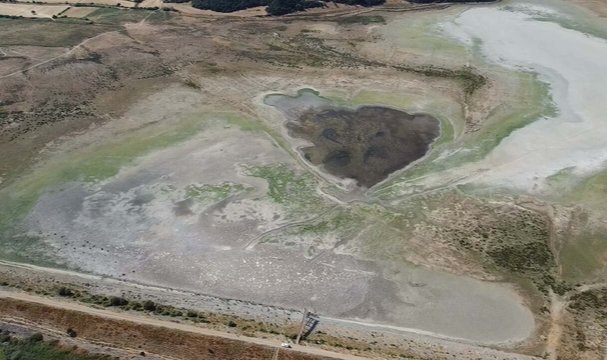Göçmen kuşlara ev sahipliği yapan gölet kurudu, keçilerin otlağı oldu