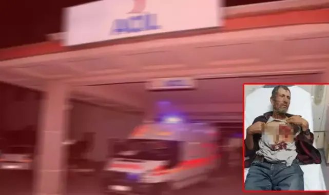Hayvanlarını otlatırken domuz saldırısında yaralandı