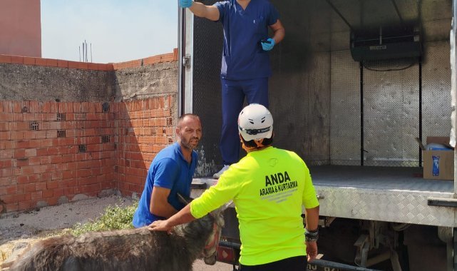 İzmir Büyükşehir Belediyesi’nin tüm birimleri yangında seferber oldu