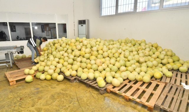 İzmir'de 300 ton ürün heba olmayacak