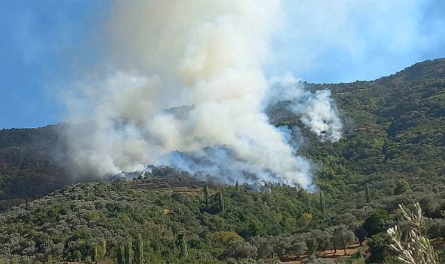 Karşıyaka'da yangında hasarın boyutu böyle görüntülendi