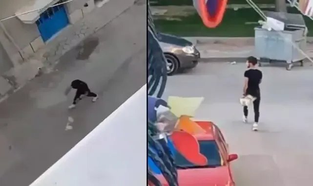 Köpeğine şiddet uygulayınca gözaltına alındı