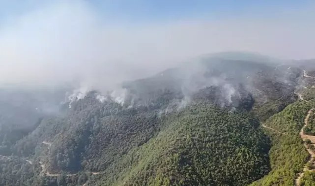 Manisa’daki orman yangınında 5’inci gün