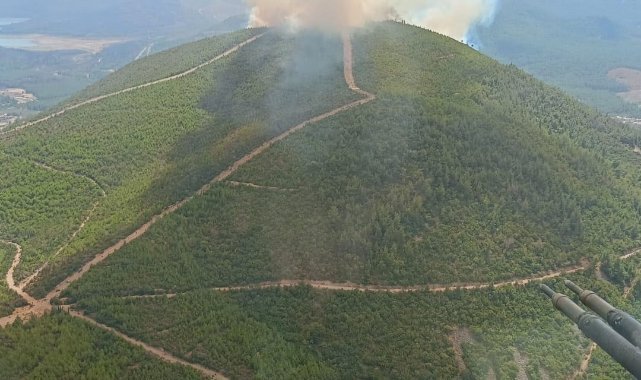 Menderes’te orman yangını