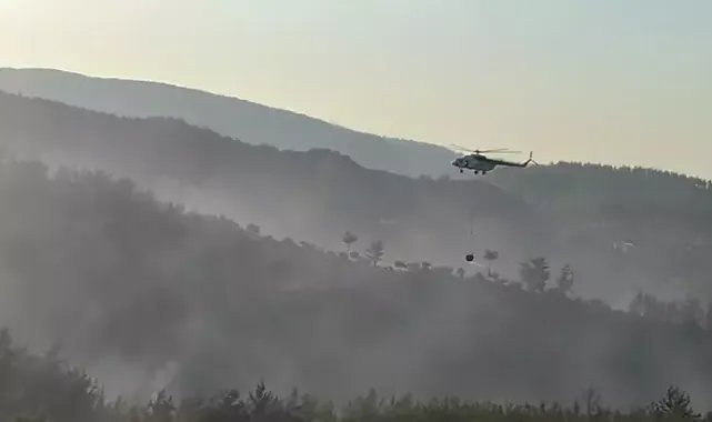Milas’taki orman yangınında 2’nci gün