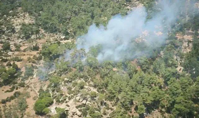 Muğla'da orman yangını