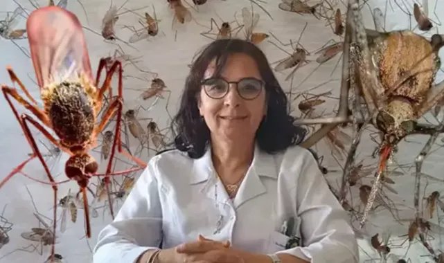 Prof. Dr. Yavuz’dan Batı Nil virüsü uyarısı: Türkiye’de de vakalar görülmeye başlandı
