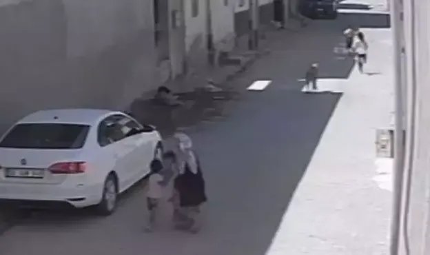 Şanlıurfa'da 3 çocuğa başıboş sokak köpekleri saldırdı