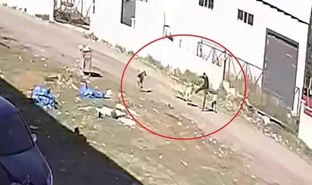 Sokak köpeklerinin saldırısından 'karate hareketleri' ile kurtuldu