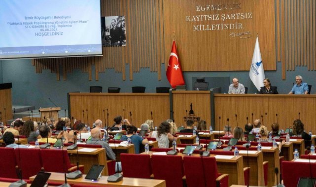 Sokakta yaşayan canlar için eylem planı hazırlıkları sürüyor
