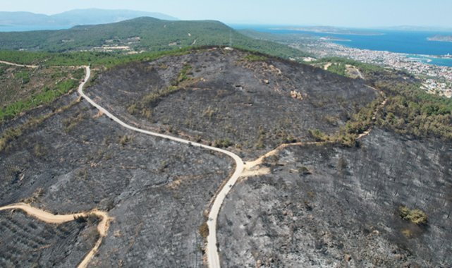 Urla küllerinden doğacak