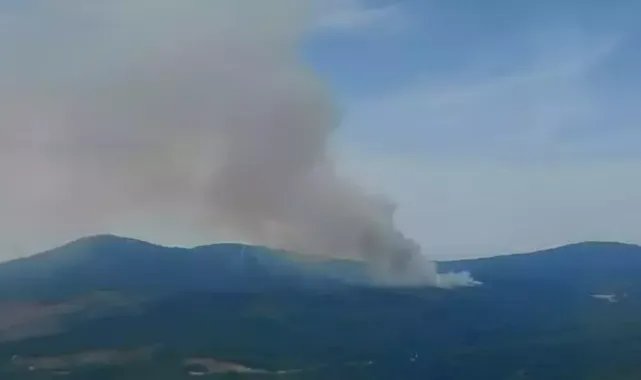 Yalova’da orman yangını