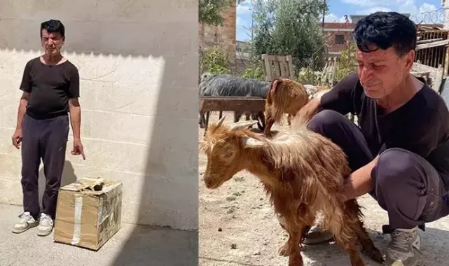 ‘Yardım kolisi’ bahanesiyle 180 bin avroluk senet imzalattılar