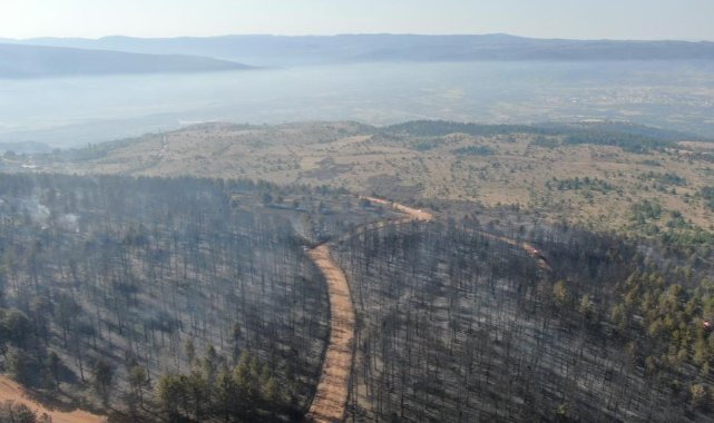Yürek yakan manzara: Ormanlık alandaki tahribat havadan görüntülendi