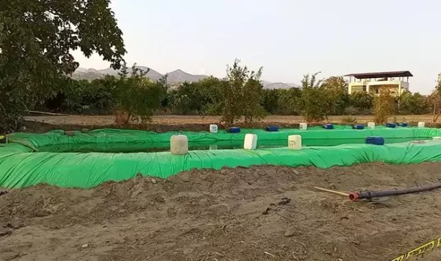 Zirai ilaç olan havuza düşen 5 yaşındaki çocuğu kurtarmak isteyen 3 kişiden 2'si öldü