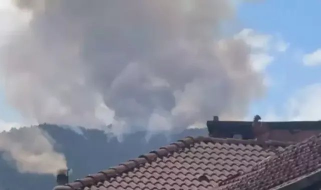 Zonguldak'ta orman yangını