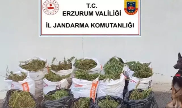 32 ilde 'Narkoçelik-40' operasyonu; 125 zehir taciri yakalandı