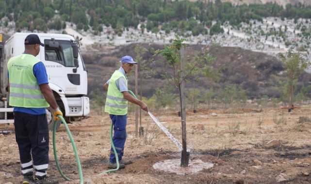 9 Eylül’de İzmir’in dağlarında çiçekler açtı