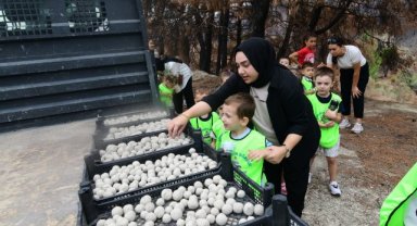 Geleceklerini yeşertecek tohumları doğayla buluşturdular