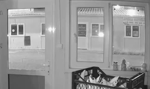 Hatay’da şaşkına çeviren olay