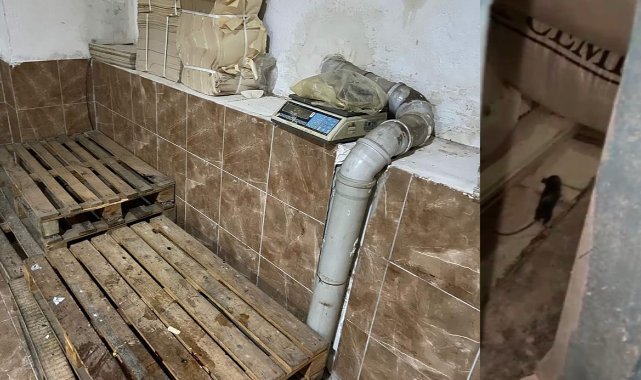 Hijyen denetimde çıkan fare şok etti