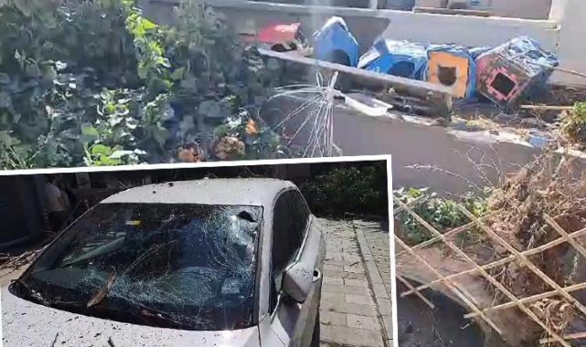 Kadıköy'de çürüyen ağaç otomobillerin üzerine devrildi