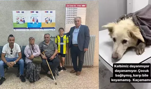 Köpeği döverek öldüren sanığa 5 ay hapis cezası