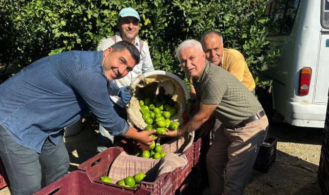 Limonun ihracat yolculuğu başladı