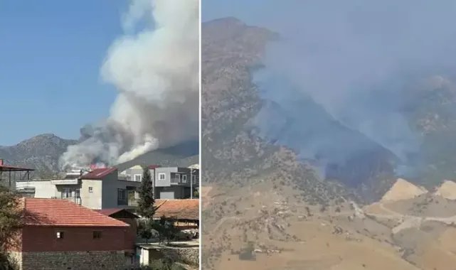 Manisa'daki orman yangını 2'nci gününde