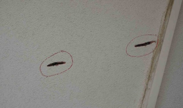 Pendik’te motosikletli şahıs hem apartmana ateş etti,