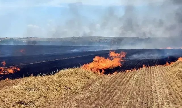 Trakya'daki yangınlarda 37 bin 115 dekar tarım alanı zarar gördü