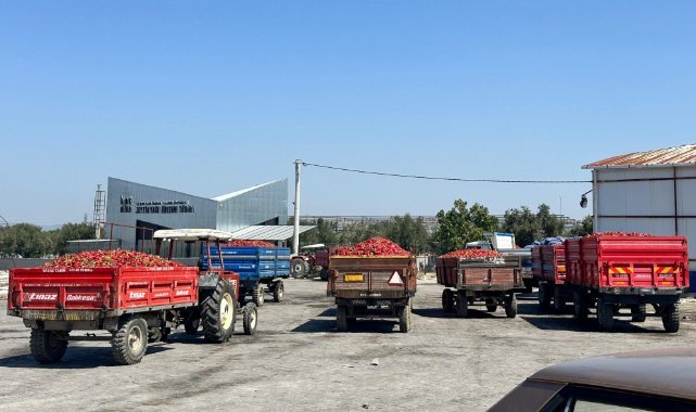 Tüccar alımı durdurdu tonlarca biber elde kaldı