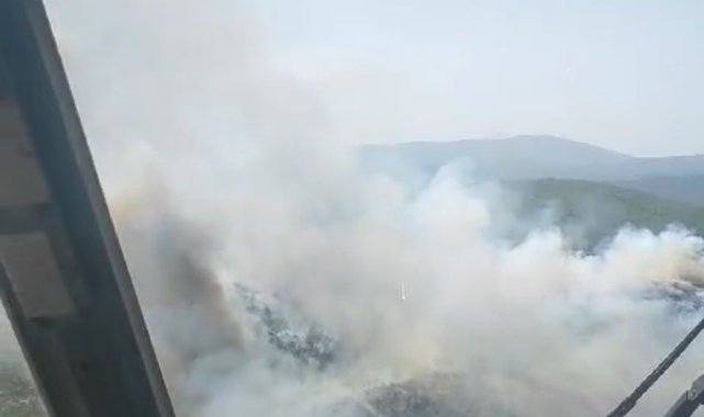 Urla'da orman yangını