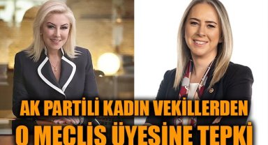 Ak Partili Kadın vekillerden o meclis üyesine tepki