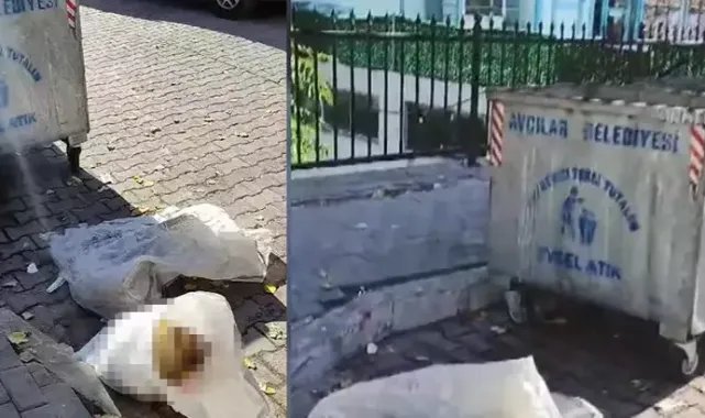Avcılar’da çuval içinde çöpe atılmış 2 ölü köpek bulundu
