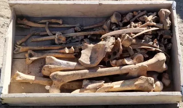 Burdur'daki Hacılar Höyüğü'nde 5 bin yıllık iskelet bulundu
