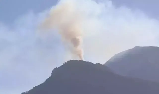 Denizli'de orman yangını