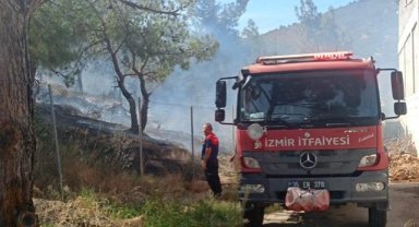 Foça’daki yangına İzmir İtfaiyesi ekipleri de müdahale etti