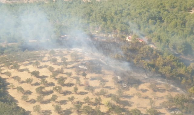 İzmir'de arazide çıkan yangın ormana sıçradı; havadan müdahale de başladı