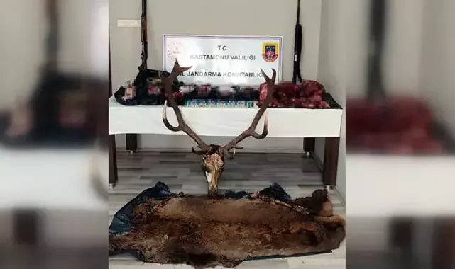 Kastamonu'da geyik avcılarına 443 bin 426 TL para cezası