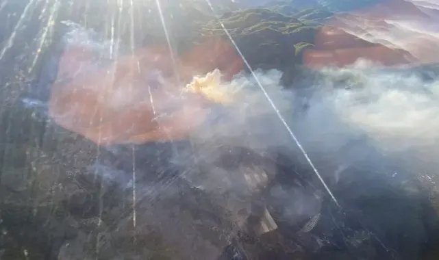 Muğla’da orman yangınları; Milas’ta alevler kontrol altında, 2 ilçede müdahale sürüyor