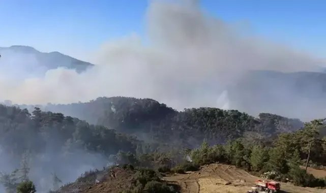 Muğla'nın 2 ilçesinde orman yangınlarına müdahale sürüyor