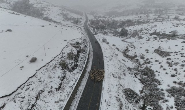 Ordu yaylalarında görsel kar şöleni