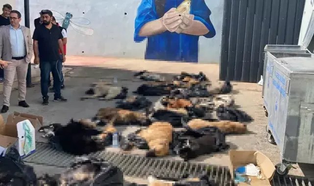 Rehabilitasyon merkezinde 45 hayvanın iğneyle öldürüldüğü iddiası