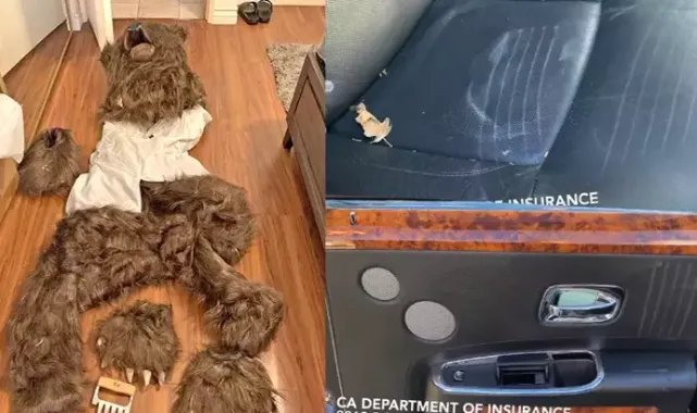 ABD'de ayı kostümüyle sigorta dolandırıcılığından 4 kişi gözaltına alındı