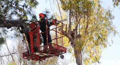 Buca’da yeşil doku için yoğun mesai